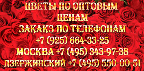 цветы по оптовым ценам цветы по оптовым ценам